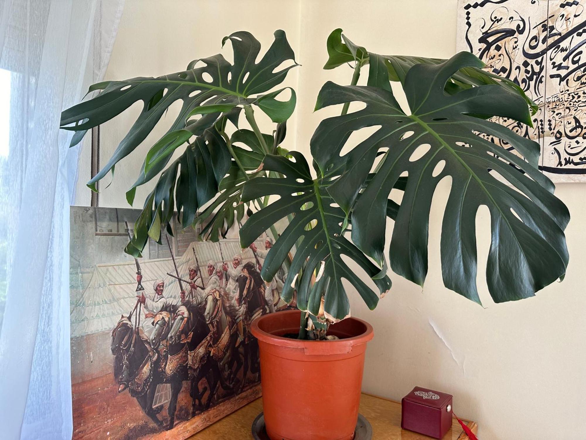 Apartmán Dar Meftah Tanger Exteriér fotografie